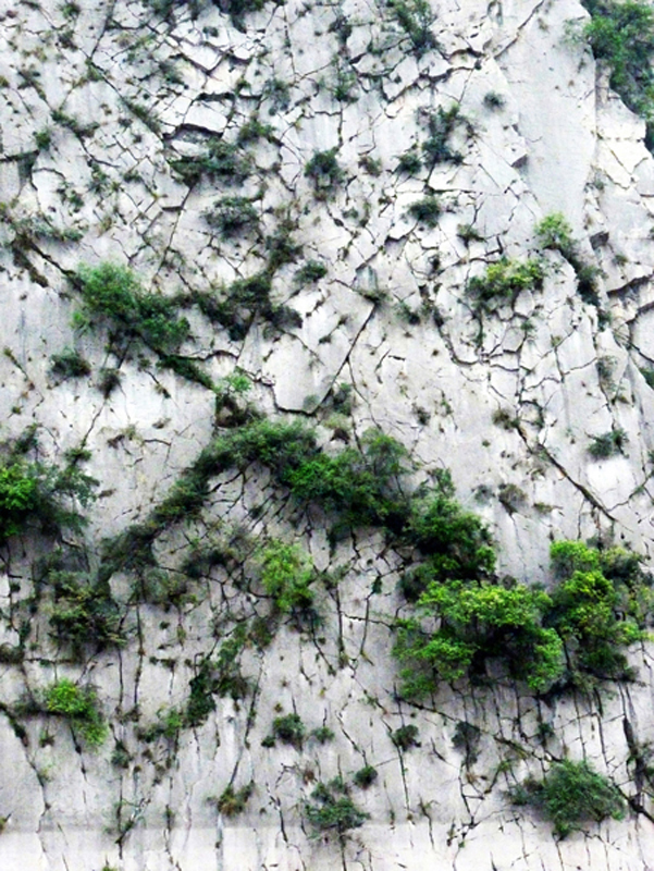 23 Yangtze mosaic